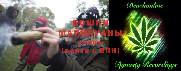 мдпв Майский