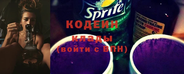 прущие грибы Нея