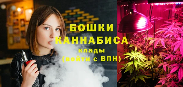 мдпв Майский