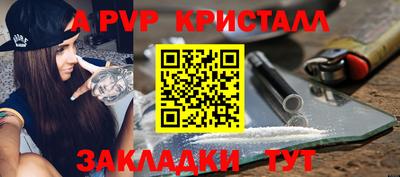 шишки Кандалакша