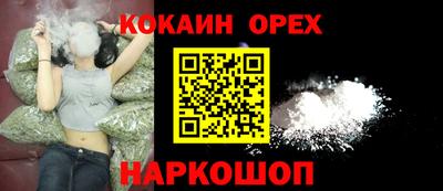 шишки Кандалакша