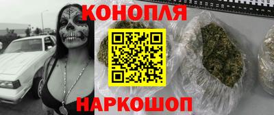 крисы Канаш