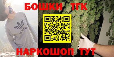 шишки Кандалакша