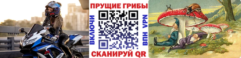Псилоцибиновые грибы ЛСД  Партизанск 