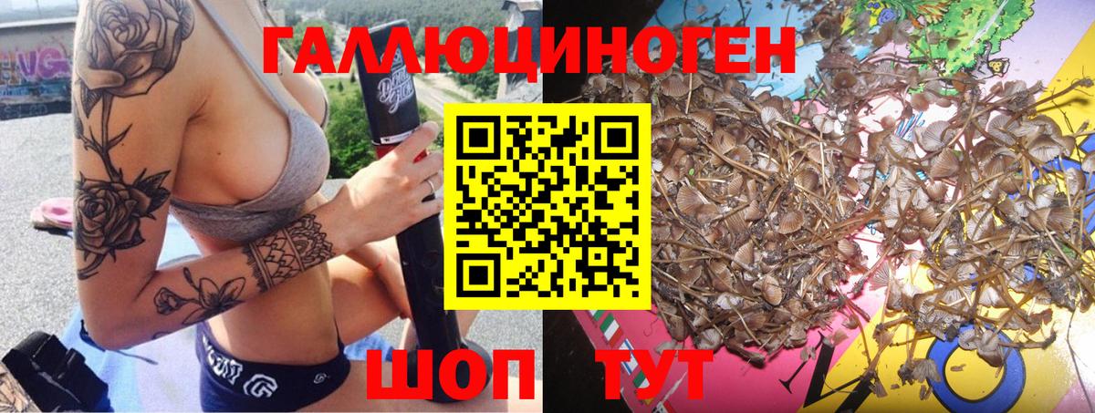 Партизанск  Галлюциногенные грибы мухоморы  Вход с VPN  Псилоцибиновые грибы GOLDEN TEACHER 