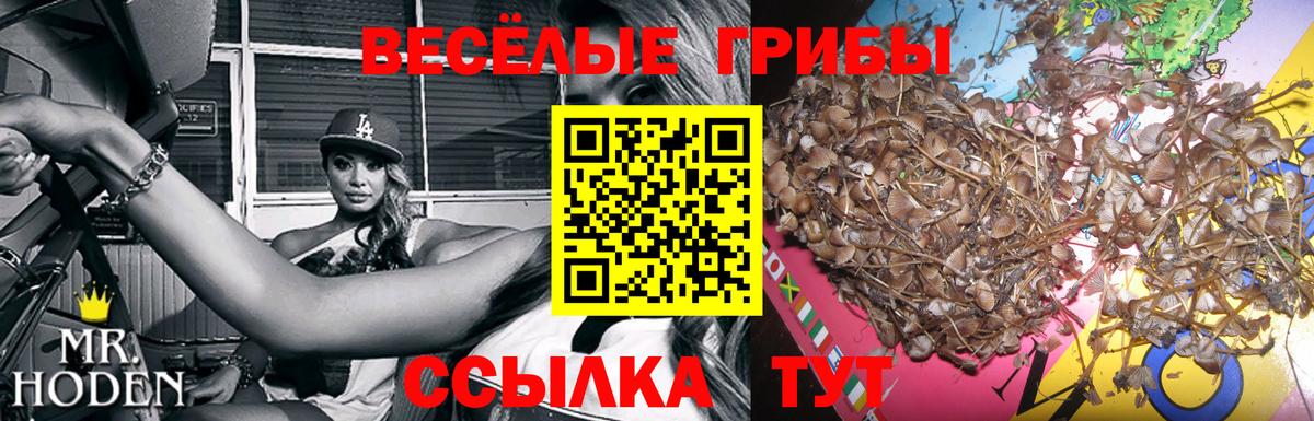Галлюциногенные грибы мухоморы Партизанск